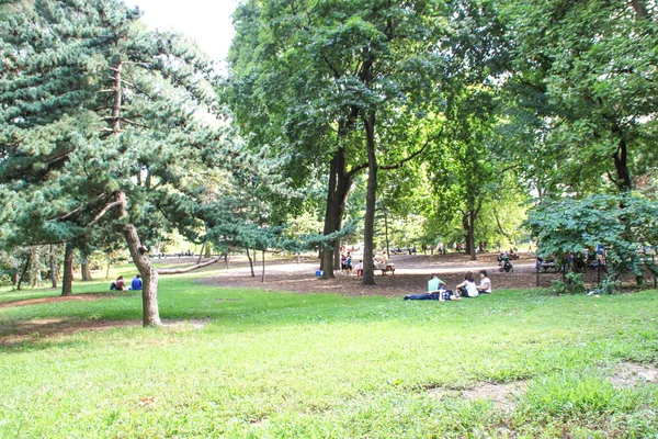 Central Park, New York