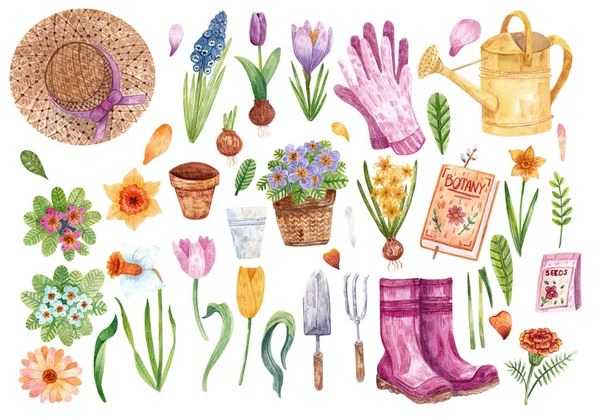 Hand Drawn Watercolor Set Theme Spring Gardening Different Flowers Garden — Stock Photo, Image