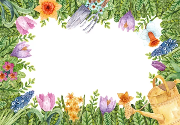Hand-drawn rectangular frame with primroses. Border with tulips, muscari, daffodils, primula, crocus, leaves and garden tools. Botanical composition for decoration, design, printing, postcards, etc.
