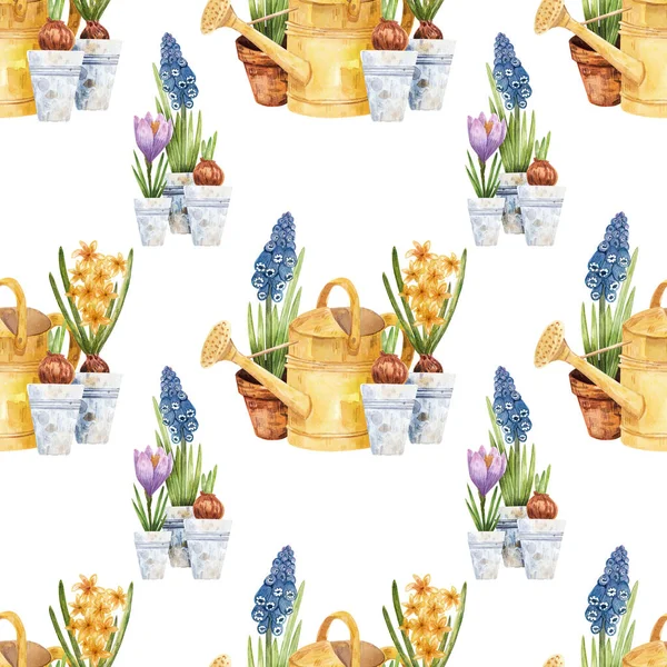 Hand Drawn Watercolor Seamless Pattern Primroses Bright Background Hyacinths Bulb — Stock Photo, Image