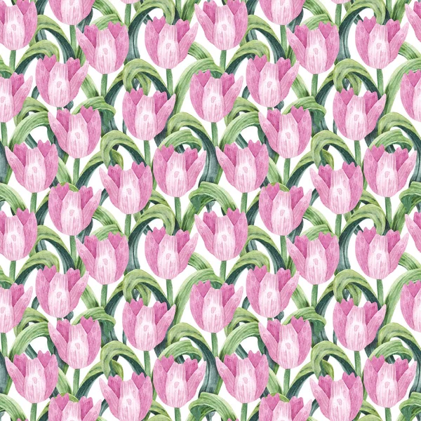 Ręcznie Rysowany Bezszwowy Wzór Akwareli Jasne Jasne Tło Różowymi Tulipanami — Zdjęcie stockowe