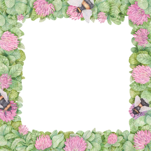 Hand Drawn Square Watercolor Frame Summer Border Bumblebees Clover Flowers — Stock Photo, Image