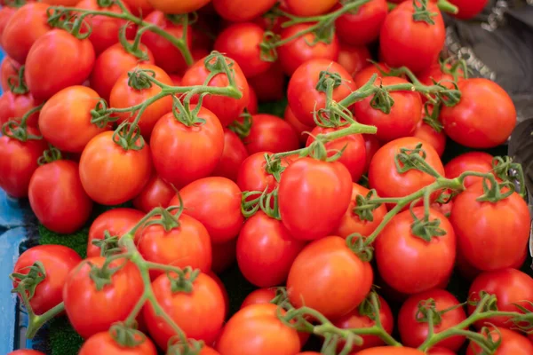 Haufen Frischer Trauben Tomaten Stockbild