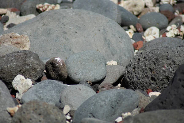 Black volcanic stones on sunny tropical beach