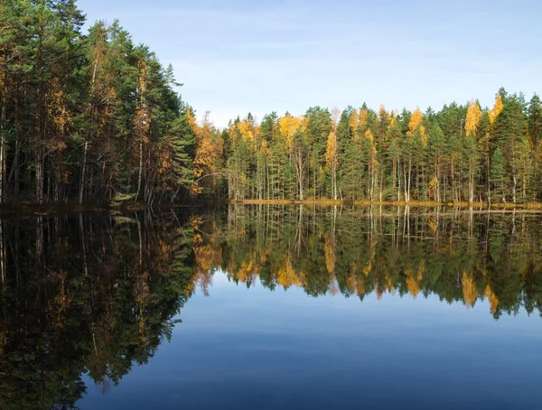 Mirroring forest lake — Stock Photo, Image