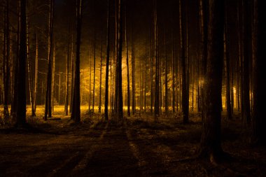 Dark forest clipart