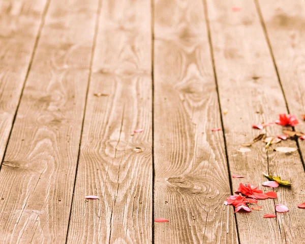 Fallen petals — Stock Photo, Image