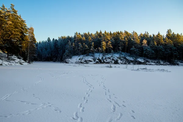 Fußabdrücke auf dem Eis des Sees — Stockfoto