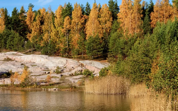 Paesaggio autunnale colorato — Foto Stock