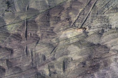 eski günlük arka oyularak el