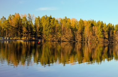 Forest lake yansımalar