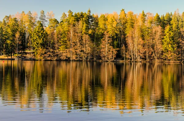 Pastoral forest lake — Stok fotoğraf