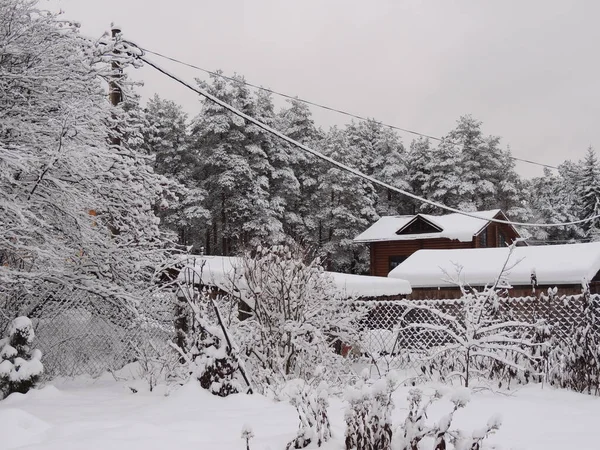 Prachtige Wintertuin Het Dorp — Stockfoto