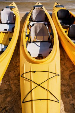 Sahilde su kenarında bir dizi kano.