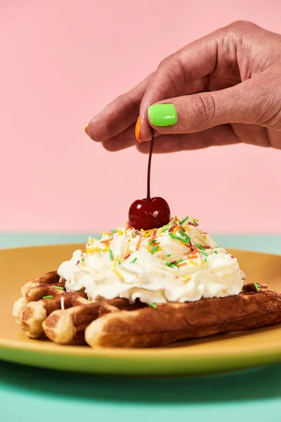 Primer plano de los tradicionales gofres belgas con crema batida en un plato aislado sobre fondo verde pastel rosa. Mano sosteniendo y añadiendo cereza en la parte superior —  Fotos de Stock