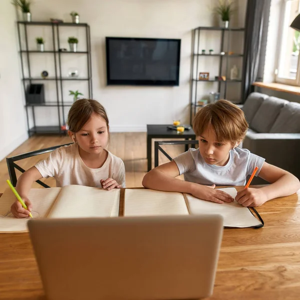 Show vertical de crianças adolescentes estudo no computador online — Fotografia de Stock