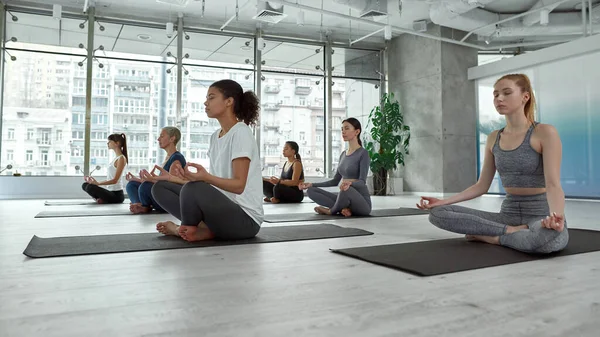 Calm diverse women meditate practice yoga at group training