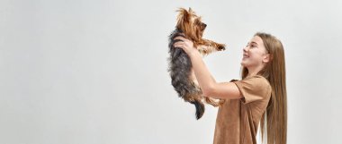 Kız sarılır ve tüylü Yorkshire Terrier köpeğine bakar