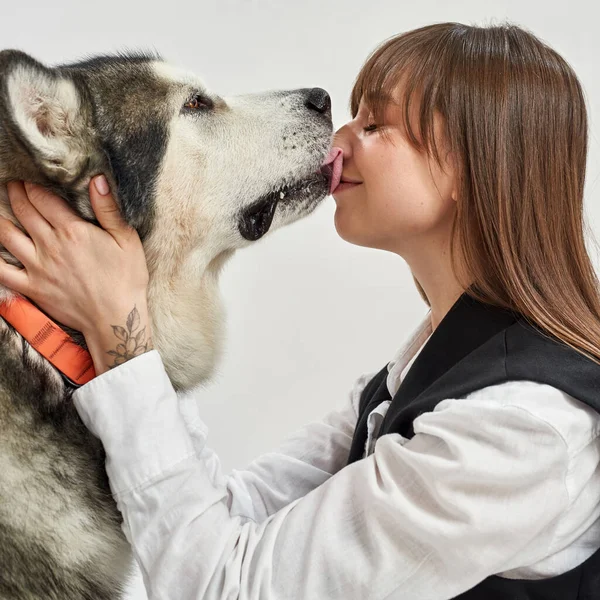 Σιβηρίας Husky σκυλί γλείφει το πρόσωπο της καυκάσιας γυναίκας — Φωτογραφία Αρχείου