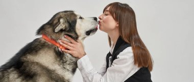 Avrupalı kız Sibiryalı Husky köpeğini öpüyor