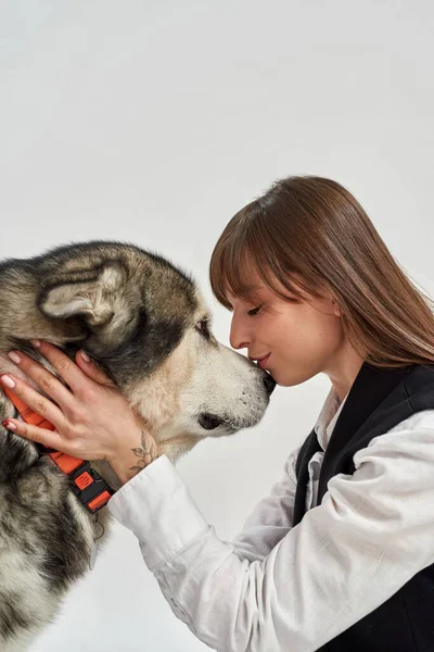 Girl kissing Siberian Husky dog in white studio — Stock Photo, Image
