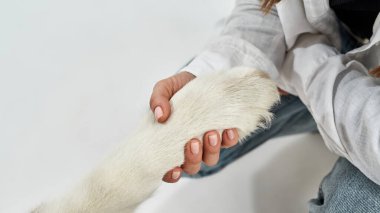 Kız elinin bir kısmı Sibirya Husky köpek pençesi