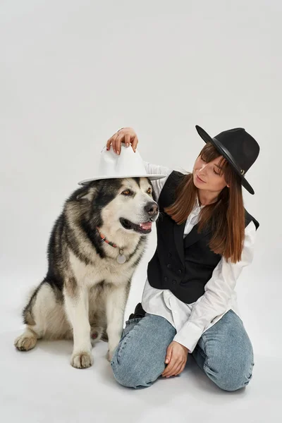Γυναίκα φοράει καπέλο στο κεφάλι του σκύλου Σιβηρίας Husky — Φωτογραφία Αρχείου