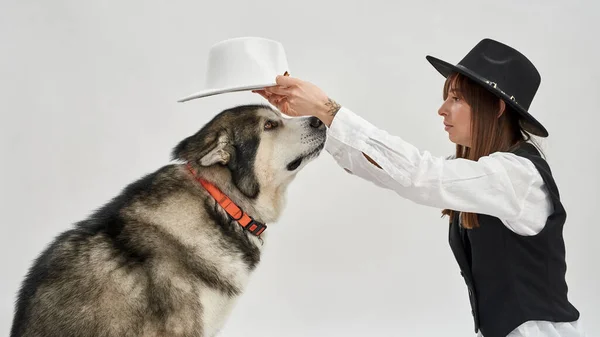 Κορίτσι που βάζει καπέλο στο κεφάλι του σκύλου Σιβηρίας Husky — Φωτογραφία Αρχείου
