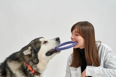 Kız köpekle oyun oynuyor.