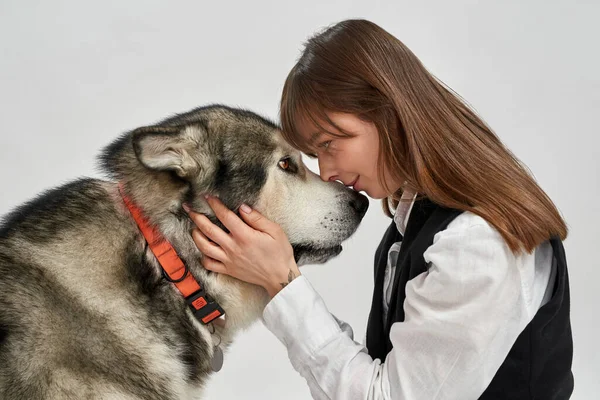 Λευκή γυναίκα που αγγίζει το Σιβηρικό Χάσκι σκυλί της — Φωτογραφία Αρχείου