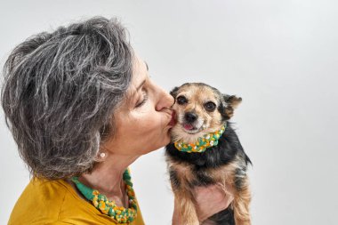 Gülümseyen gri saçlı kadın tatlı Chihuahua köpeğini öpüyor.