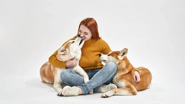 Καυκάσια γυναίκα κάθονται και αγκαλιάζουν Shiba Inu σκυλιά — Φωτογραφία Αρχείου