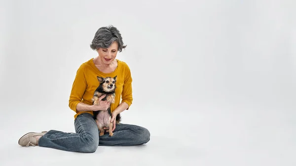 Γκρίζα μαλλιά γυναίκα κάθεται και κρατώντας Chihuahua σκυλί — Φωτογραφία Αρχείου