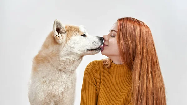 Shiba Inu σκυλί γλείφει το πρόσωπο της νεαρής Ευρωπαίας γυναίκας — Φωτογραφία Αρχείου