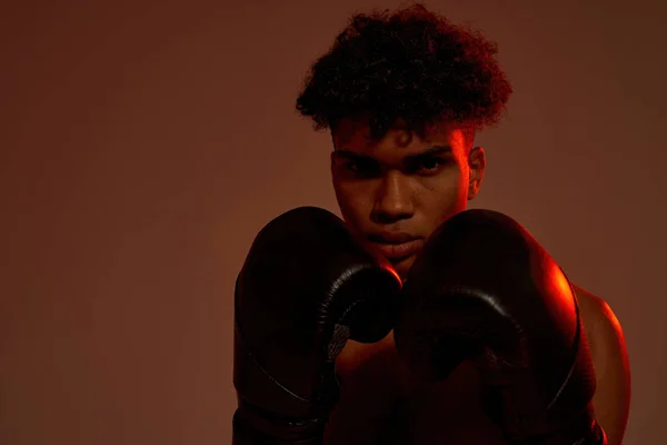 Confident boxer in boxing gloves look at camera — Fotografia de Stock