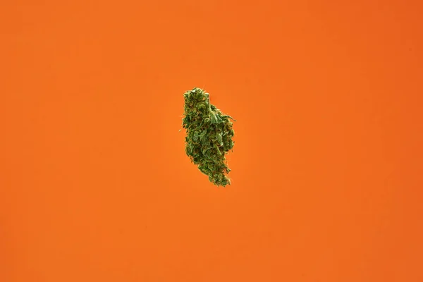 Groene marihuana knop geïsoleerd op oranje achtergrond — Stockfoto