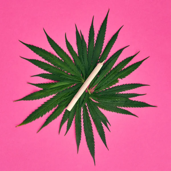Marihuana blad en gewalst gewricht voor het roken — Stockfoto
