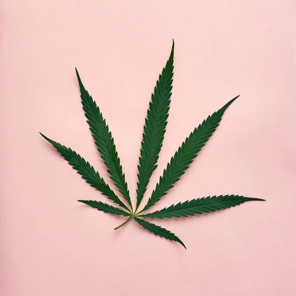 Vista dall'alto della foglia di marijuana su sfondo beige — Foto Stock