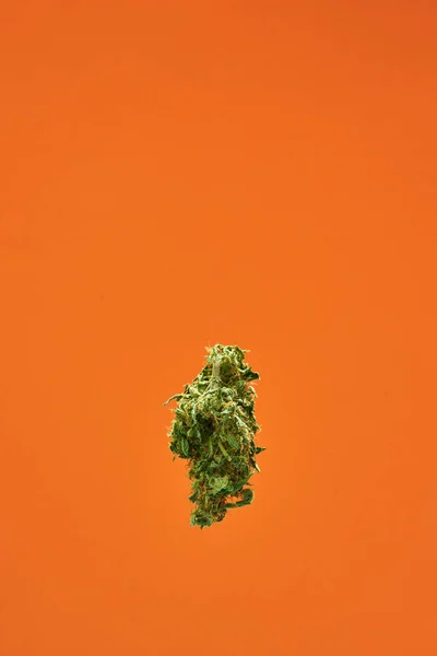 Groene droge marihuana knop voor pijnstillers therapie — Stockfoto