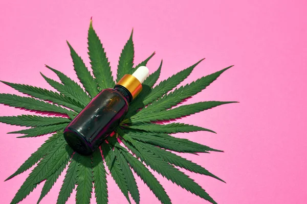 Cannabisblad en essentiële cannabinoïde olie fles — Stockfoto