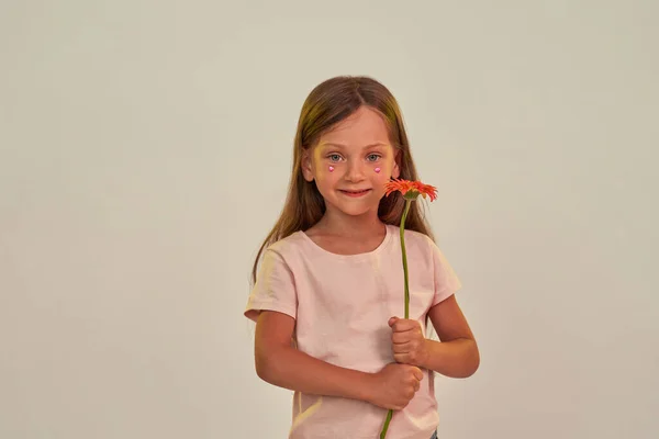 Kislány gerbera virág néz kamera — Stock Fotó