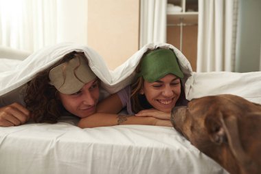 Çift battaniyenin altında yatar ve köpeğe bakar.