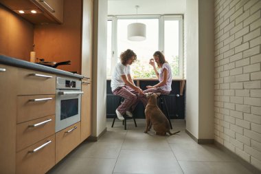 Erkek, kız arkadaşıyla kahvaltı ederken köpeği besliyor.