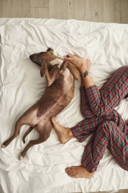 Yatakta çıplak ayaklı bir çiftle köpek dinlenme manzarası.