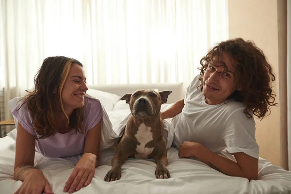 Chica mirando al hombre acariciando perro en la cama en casa — Foto de Stock