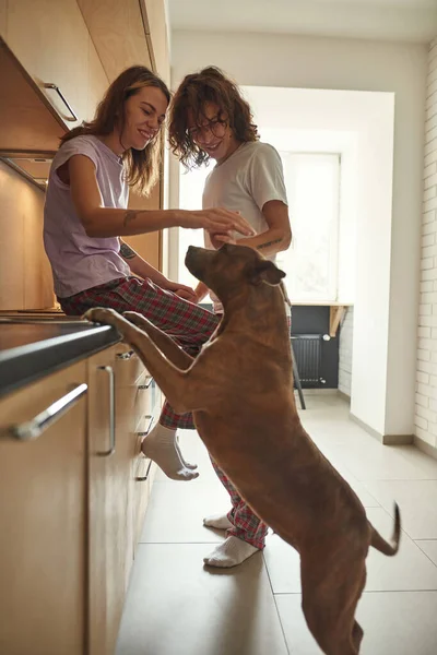 Man and girl caressing and looking at dog at home — Stock Photo, Image