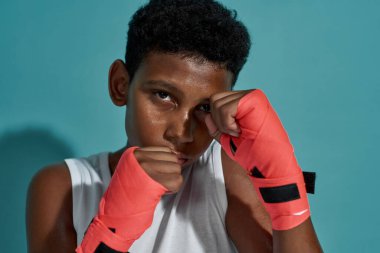 Boksör çocuk boksu ve kameraya bakmak.