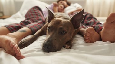 Yatakta uyuyan bir çiftin yanında yatan köpek odaklı.