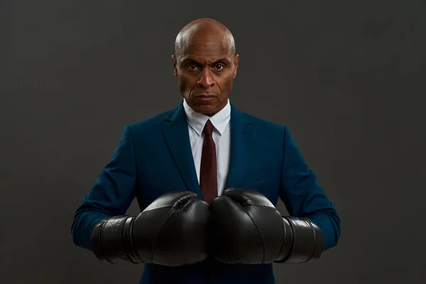 Confident black company leader looking at camera. Adult man wearing formal wear and boxing gloves. Modern successful male lifestyle. Concept of business goal. Grey background. Studio shoot. Copy space