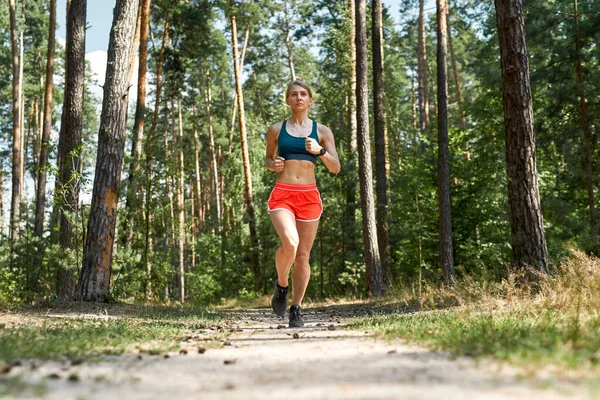 Yeşil kozalaklı ormanda koşan ya da koşu yapan Avrupalı genç bir sporcunun düşük açılı görüntüsü. Spor giyim kuşamları giyen zayıf, atletik bir kadın. Modern sağlıklı yaşam tarzı kavramı. Güneşli yaz günü